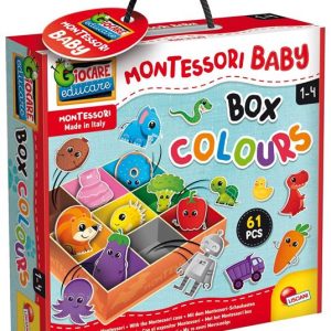 MONTESSORI COLOR BOX