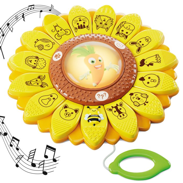 cokorito-toys-carotina-il-girasole-educativo-5