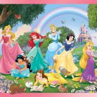 cokorito-toys-disney-puzzle-df-maxi-floor-24-princess-3