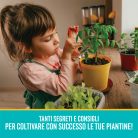 cokorito-toys-laboratorio-di-botanica-4