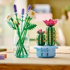 cokorito-toys-lego-11509-cactus-in-fiore-9