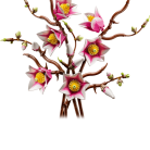 cokorito-toys-lego-11510-rametti-di-magnolia-1