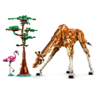 cokorito-toys-lego-31150-animali-del-safari-3