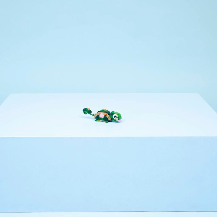 cokorito-toys-lego-31377-tartaruga-con-fiore-di-ninfea-2