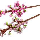 cokorito-toys-lego-40725-fiori-di-ciliegio-1