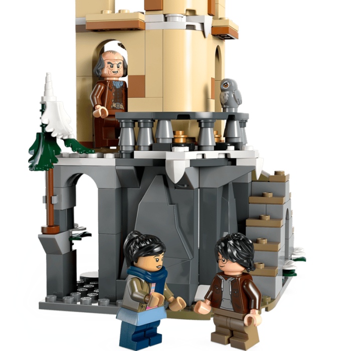 cokorito-toys-lego-76430-guferia-del-castello-di-hogwarts-4