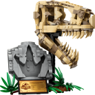 cokorito-toys-lego-76964-fossili-di-dinosauro-teschio-di-trex-2