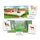 cokorito-toys-sapientino-animali-e-cuccioli-16271-4