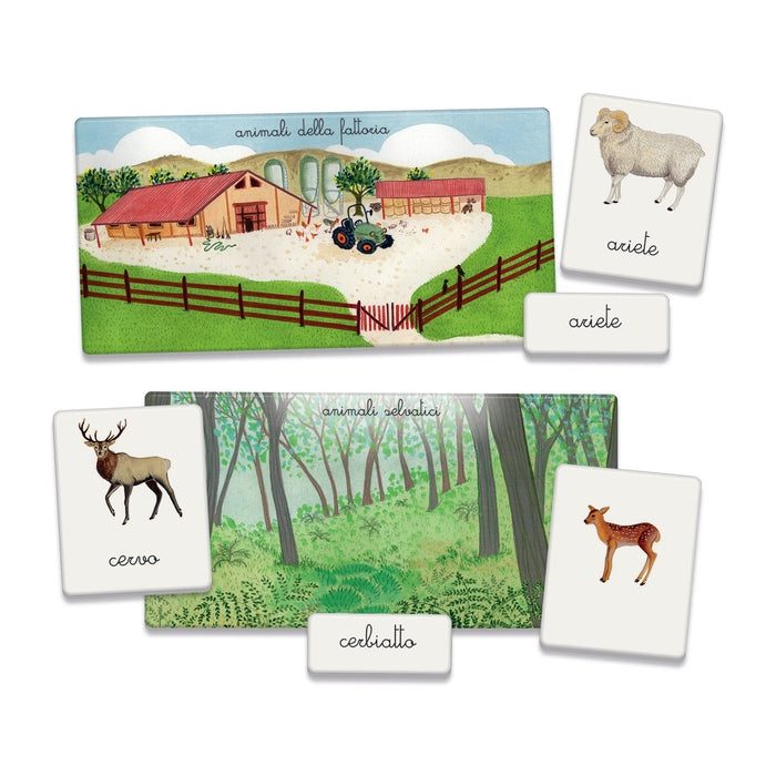 cokorito-toys-sapientino-animali-e-cuccioli-16271-4